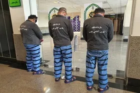 پلیس اسپانیا یک محموله ماری&zwnj;جوآنا به ارزش ۶۴ میلیون دلار را کشف کرد