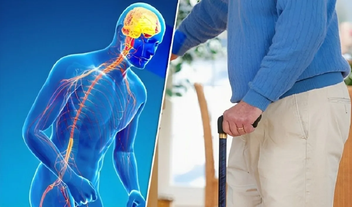 بیماری پارکینسون چیست؟ | ۵ عادت روزمره برای کاهش خطر ابتلا به پارکینسون
