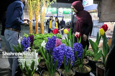 نمایشگاه فروش بهاره و عرضه مستقیم کالا در مشهد