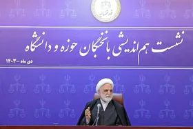 محسنی اژه&zwnj;ای: دادگاه&zwnj;های مفاسد اقتصادی با قاطعیت در حال برگزاری است | ورود به حریم خصوصی افراد غلط است