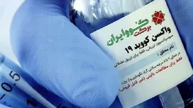 جزئیاتی تازه از پیش&zwnj;مقاله واکسن کووایران برکت بعد از دریافت مجوز مصرف