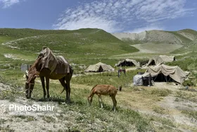 عشایر امسال به صورت رایگان بیمه می&zwnj;شوند