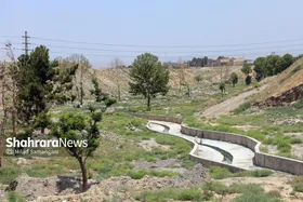 گلایه ساکنان محله اسماعیل&zwnj;آباد مشهد از روند کند اجرای پروژه فضای سبز این محدوده | پاییز، کال سرسبز می&zwnj;شود