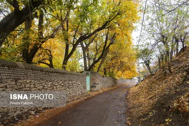ایران زیباست | خزان در کوچه باغ‌های همدان