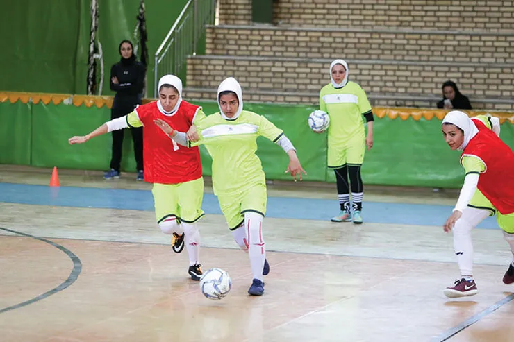 جدال مشهدی‌ها با «گربه سیاه»