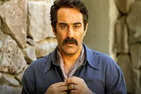 محسن تنابنده داور شد