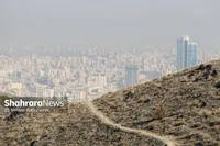 آنچه امسال از مشکلات مشهد روی زمین ماند