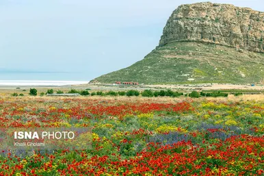 تفریح در بخش پرآب دریاچه ارومیه