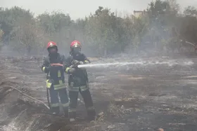 حریق زمین بایر در مشهد، باعث سوختن ۱۰۰ اصله درخت شد