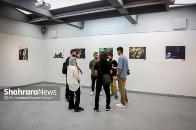 نمایشگاه عکس 
