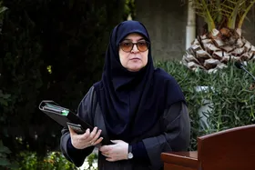 مهاجرانی: شماری از اعضای دولت به طبس می&zwnj;روند