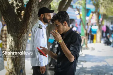 گرمای هوا در مشهد