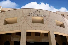 فرصت یک هفته ای سازمان بازرسی به دستگاه های مجری "قانون حمایت از معلولان"