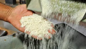 &nbsp;توزیع ۱۰۰ هزار تن برنج خارجی در سطح کشور از امروز آغاز شد (۱۵ شهریورماه ۱۴۰۰)