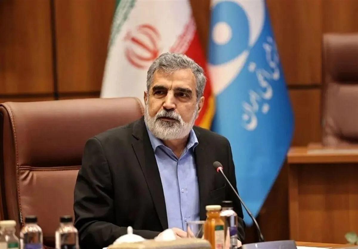 کمالوندی: آمریکا در کنفرانس عمومی آژانس در مقابل ایران شکست خورد