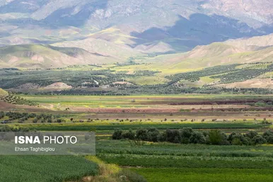 ایران زیباست | طبیعت بهاری «طارُم»، هندوستان ایران