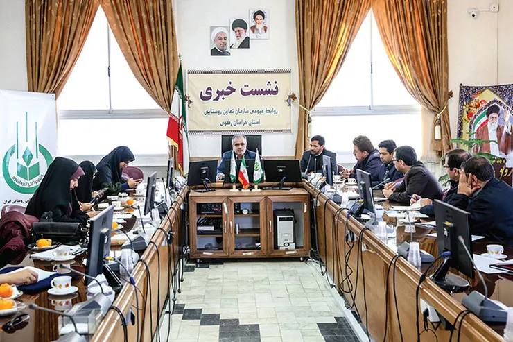 زعفران گران می‌شود