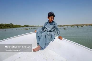 نوروزگردی | چابهار