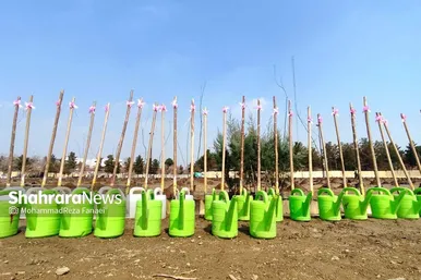 پویش سراسری درخت‌کاری در بوستان جهانشهر