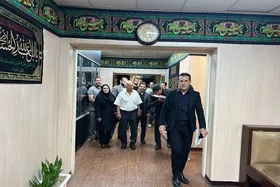 میراسماعیلی به فدراسیون جودو برگشت