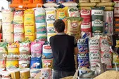 افزایش قیمت سرسام آور برنج در بازار مشهد | برنج گران در سفره رمضان