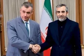 دیدار علی باقری و رئیس کمیته امور بین&zwnj;الملل دومای روسیه