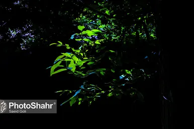 طبیعت «کلاته آهن»، روستایی زیبا در حوالی مشهد