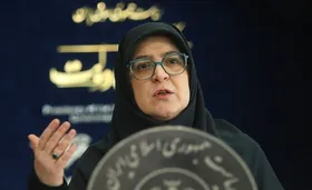 سخنگوی دولت: شاخص دولت عملکرد مثبت و شایسته&zwnj;گزینی است