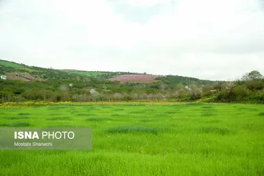 ایران زیباست | طبیعت بهاری روستاهای اطراف ساری