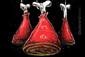 کارتون | سرانه مصرف گوشت قرمز از ۱۲ به ۶ کیلوگرم رسید!