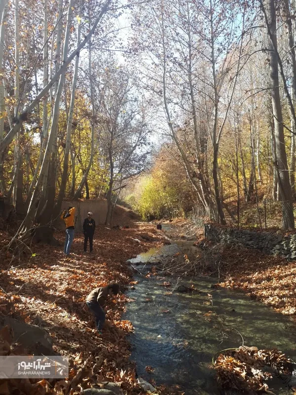 شهروند خبرنگار | خودنمایی پاییز در روستای مایان طرقبه