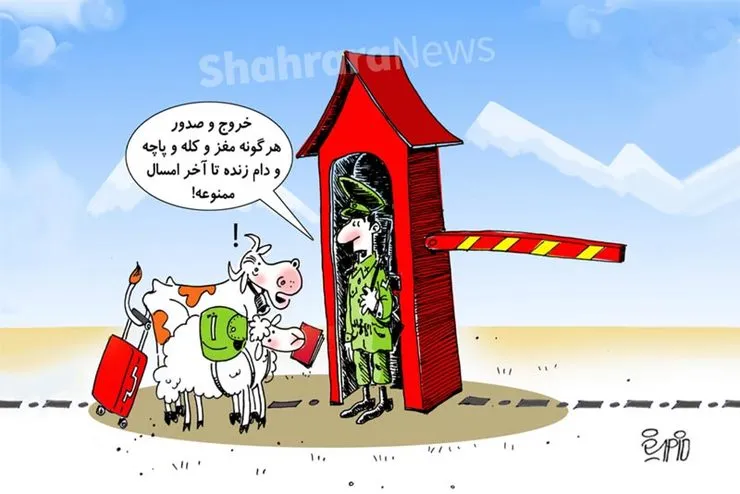 کاریکاتور | رئیس شورای تأمین کنندگان دام زنده: صادرات دام تا پایان سال ممنوع است
