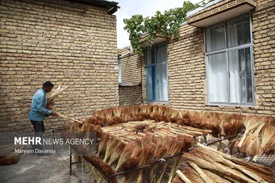 گزارش تصویری | جاروبافی در روستای ملاحسن