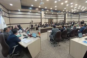 مدیرکل دفتر هماهنگی امور اقتصادی استانداری خراسان رضوی: سیاست&zwnj;های راهبردی ما تکیه بر توان داخل است