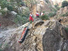جمع&zwnj;آوری گیاهان دارویی منجر به مرگ مرد ۶۳ساله شد