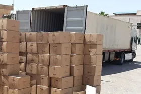 محکومیت میلیاردی برای قاچاقچی بذر گیاه دارویی&nbsp;در خراسان رضوی