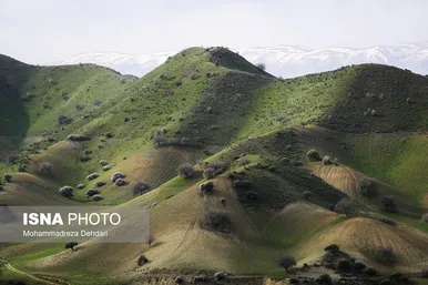 ایران زیباست | زمستان بَهاری در فارس