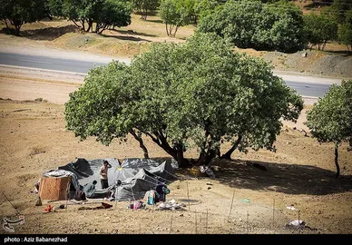 عبور عشایر از خرم آباد