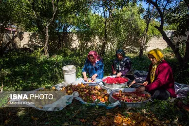 ایران زیباست؛ استان مازندران