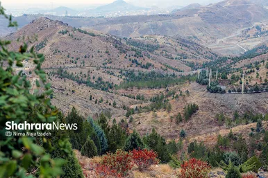 طبیعت پاییزی بوستان های مشهد