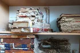 موریانه&zwnj;ها ۴۰ کتاب خطی قاجاری را در سمنان جویدند
