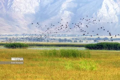 ایران زیباست | تالاب بین المللی گندمان