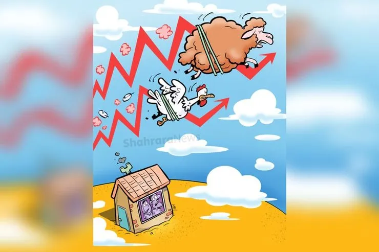 کاریکاتور | قیمت مرغ در تعقیب گوشت قرمز!