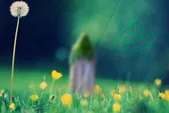 درنگی در پیوند میان انسان منتظر و امام غایب