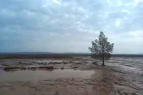 سیل در نیجریه جان ۵۰۰ نفر را گرفت
