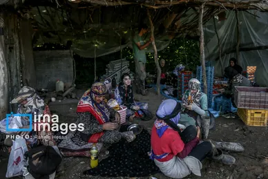 گزارش تصویری | بهارِ سرخ شفیع‌آباد