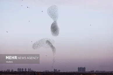 پرواز شگفت انگیز سارها