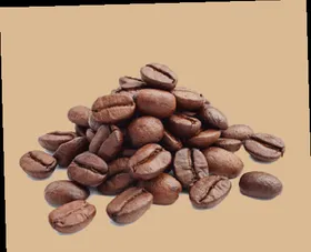 همه چیز درباره راه اندازی کافی شاپ