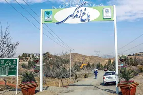&zwnj;باغ زندگی مشهد باغی برای کاشت درختان خاطره انگیز