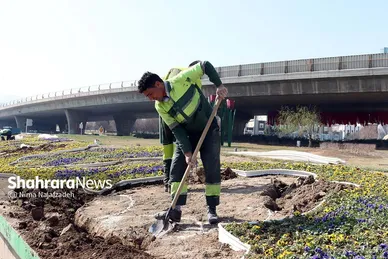 گل‌کاری در نقاط مختلف شهر مشهد